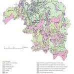 Ongoing projects thumbnail